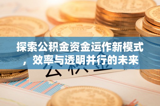 甘谷探索公积金资金运作新模式，效率与透明并行的未来