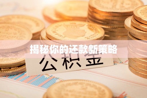 甘谷揭秘你的还款新策略