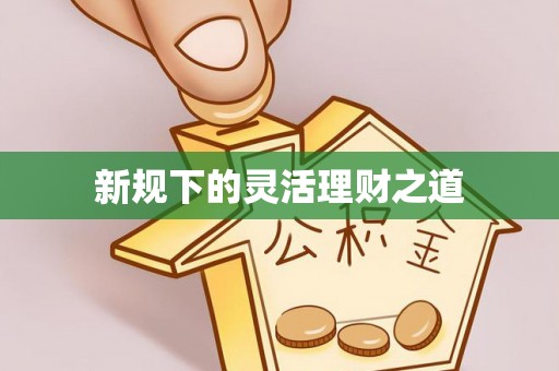 甘谷新规下的灵活理财之道