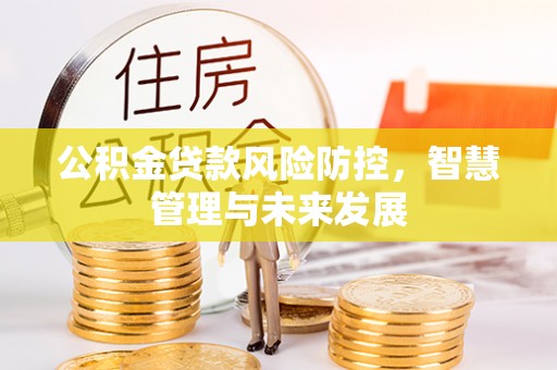 甘谷公积金贷款风险防控，智慧管理与未来发展
