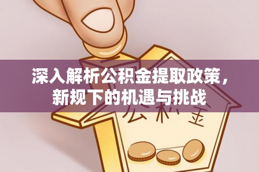 甘谷深入解析公积金提取政策，新规下的机遇与挑战