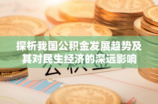 甘谷探析我国公积金发展趋势及其对民生经济的深远影响