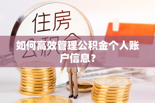 甘谷如何高效管理公积金个人账户信息？